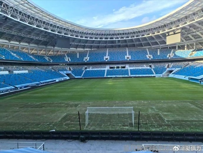 记者:深体草坪质量本来就不太给力,演唱会后又遭到破坏